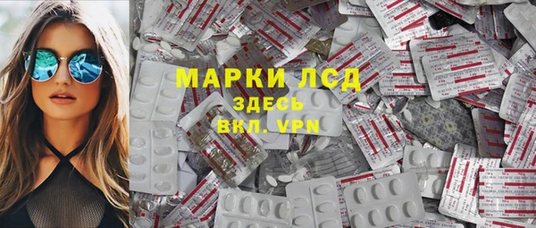 крисы Коряжма