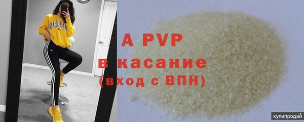 крисы Коряжма
