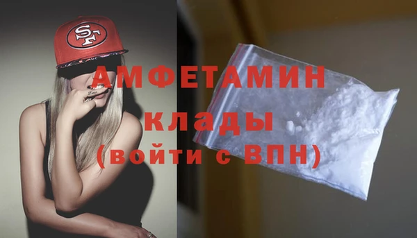 крисы Коряжма