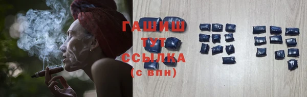 крисы Коряжма