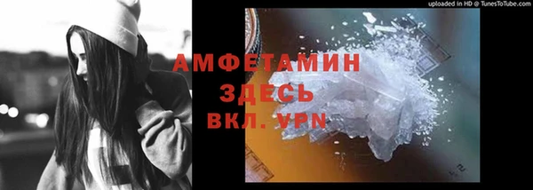 каннабис Корсаков