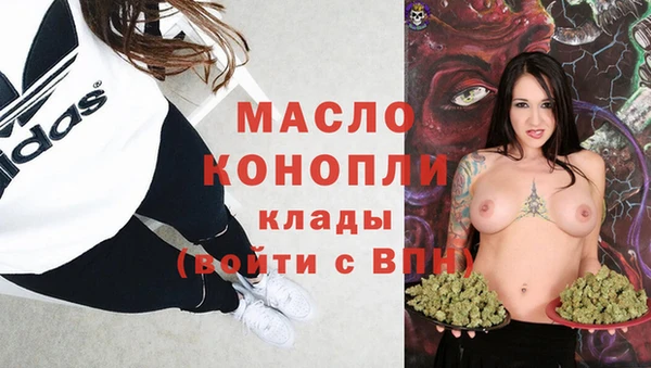 крисы Коряжма