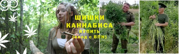 кокс Костерёво