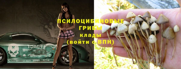 каннабис Корсаков