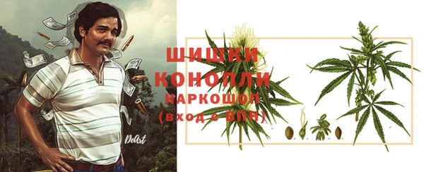 крисы Коряжма