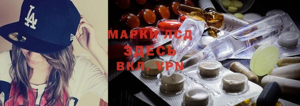 крисы Коряжма
