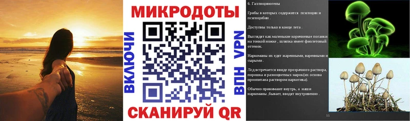 купить закладку  Кувшиново  Псилоцибиновые грибы Cubensis 